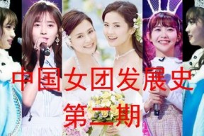 国产门事件,揭秘我国汽车行业质量危机与反思