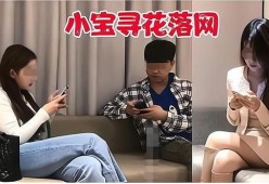 国产秦先生,探寻中国汽车工业的崛起之路