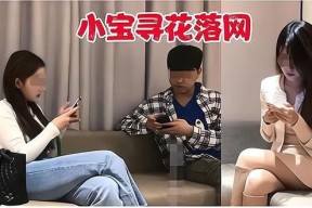 国产秦先生,探寻中国汽车工业的崛起之路